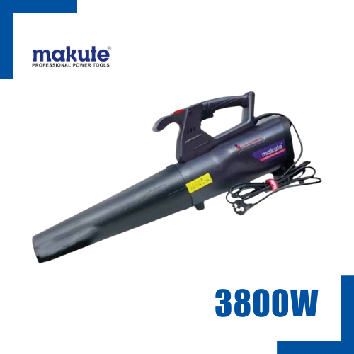 Souffleur 3800W